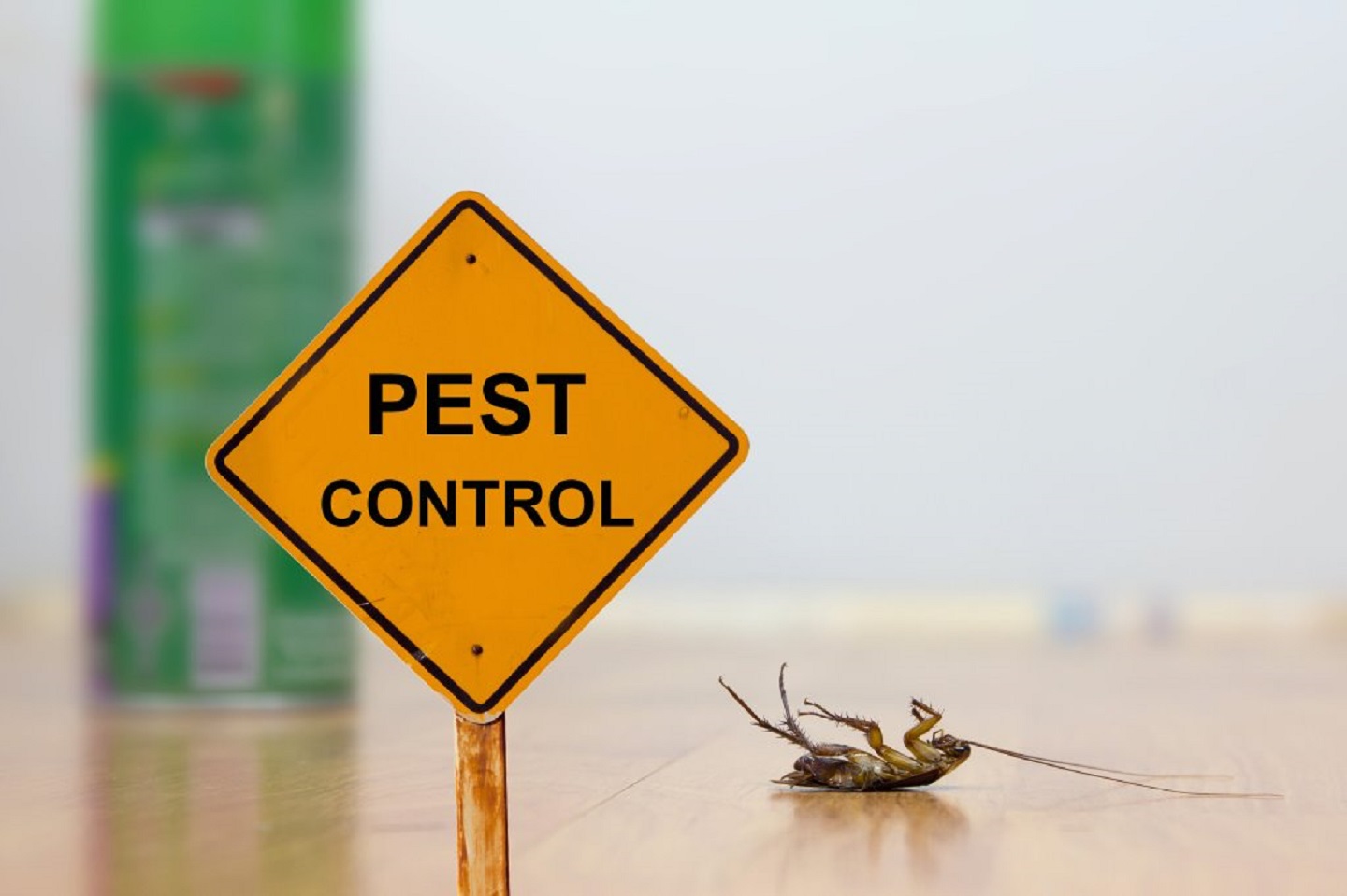 Frontline Pest Control Adelaide
