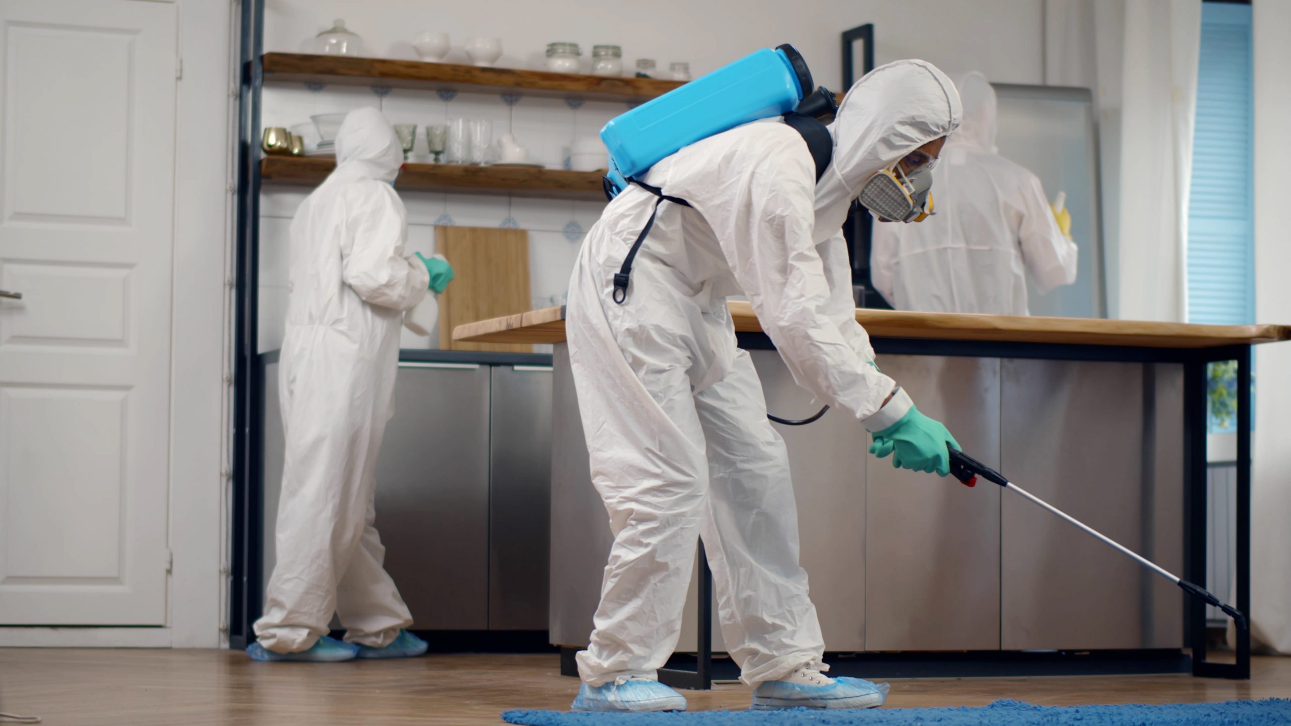 Preventive Pest Control Perth