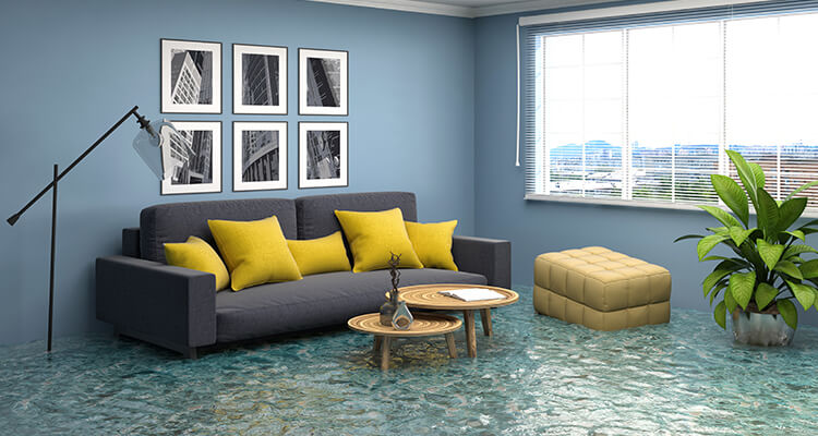 Flood Damage Restoration Parramatta