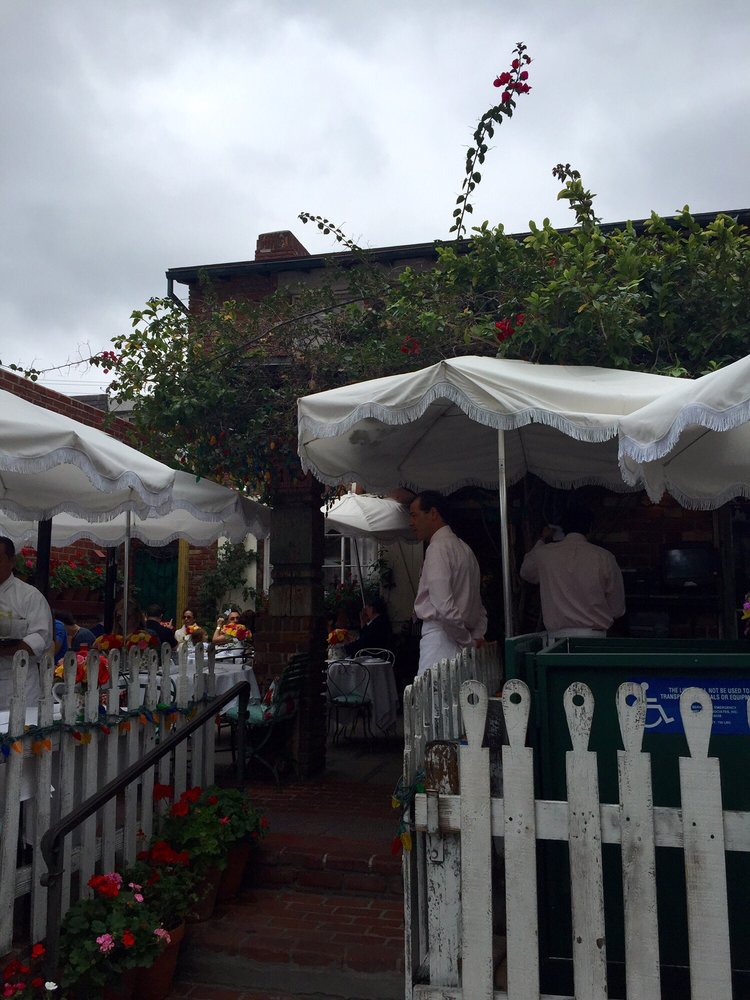 The Ivy