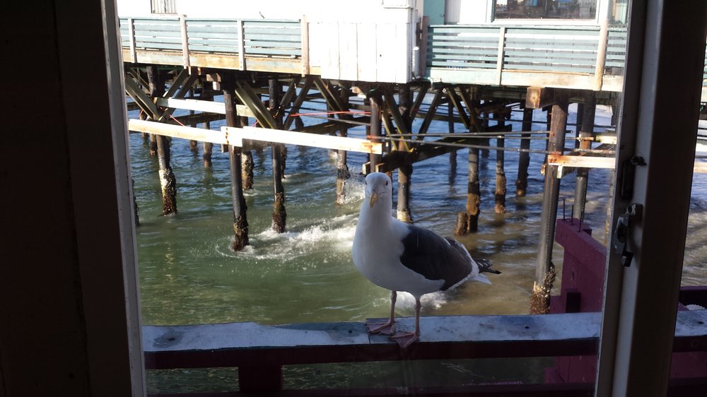 Pacific Fish Center & Restaurant