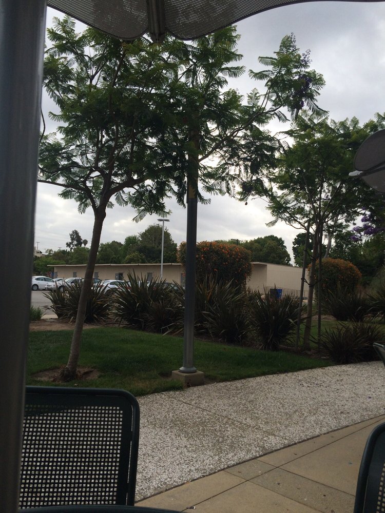 Santa Monica College