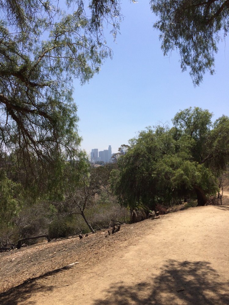 Wildflower Trail - Elysian Park