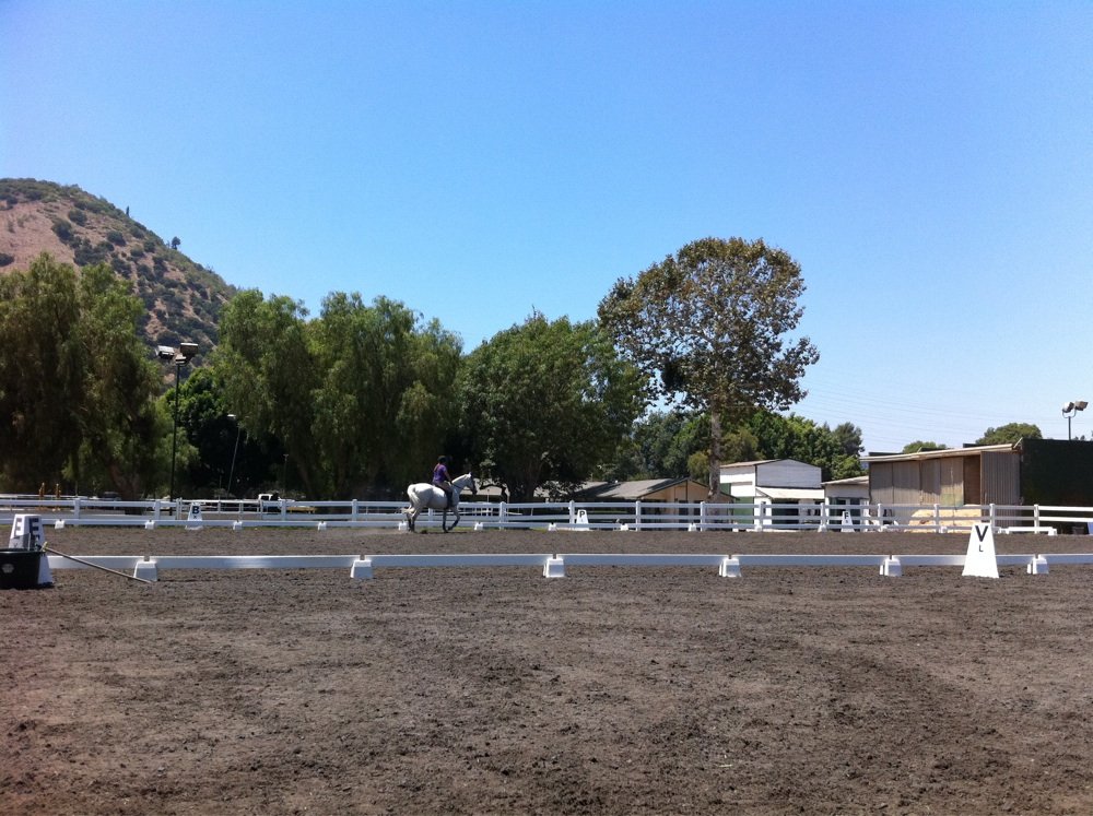 Jane McLoud Dressage
