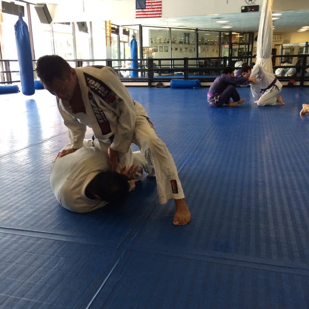 Dynamix MMA