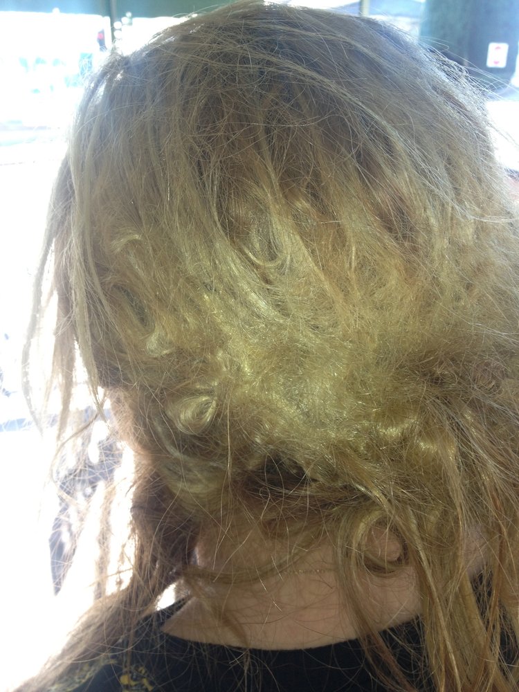 Brazilian Blowout by Roy