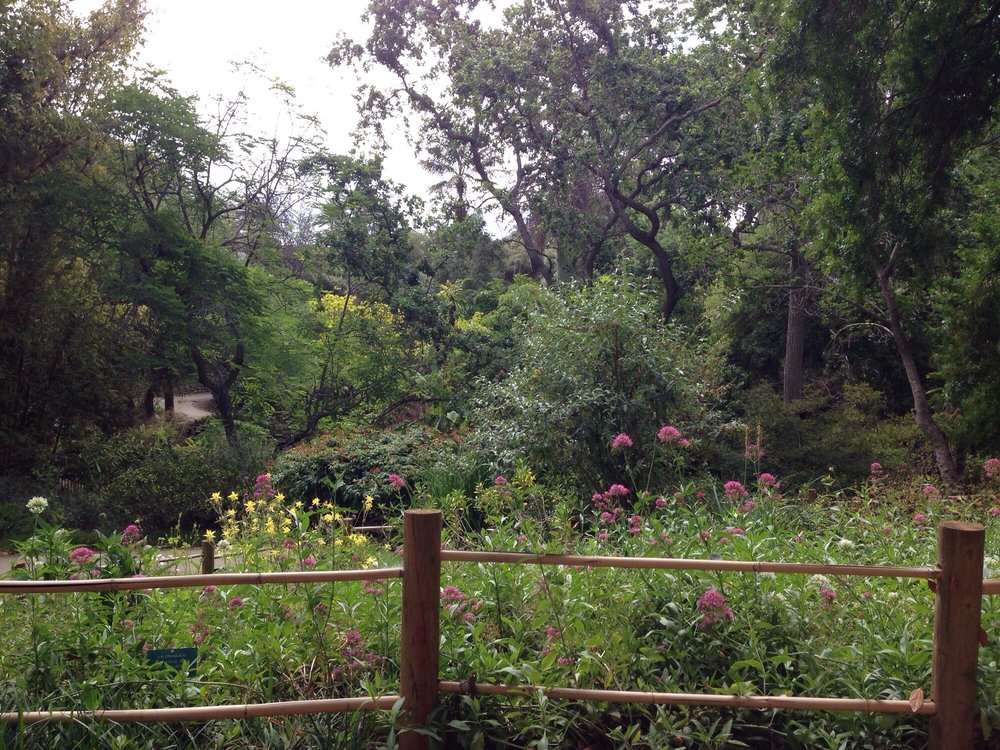 Mildred E Mathias Botanical Garden