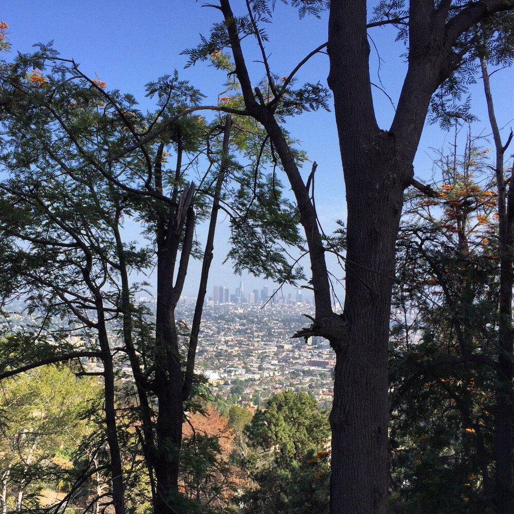 Griffith Observatory Hike