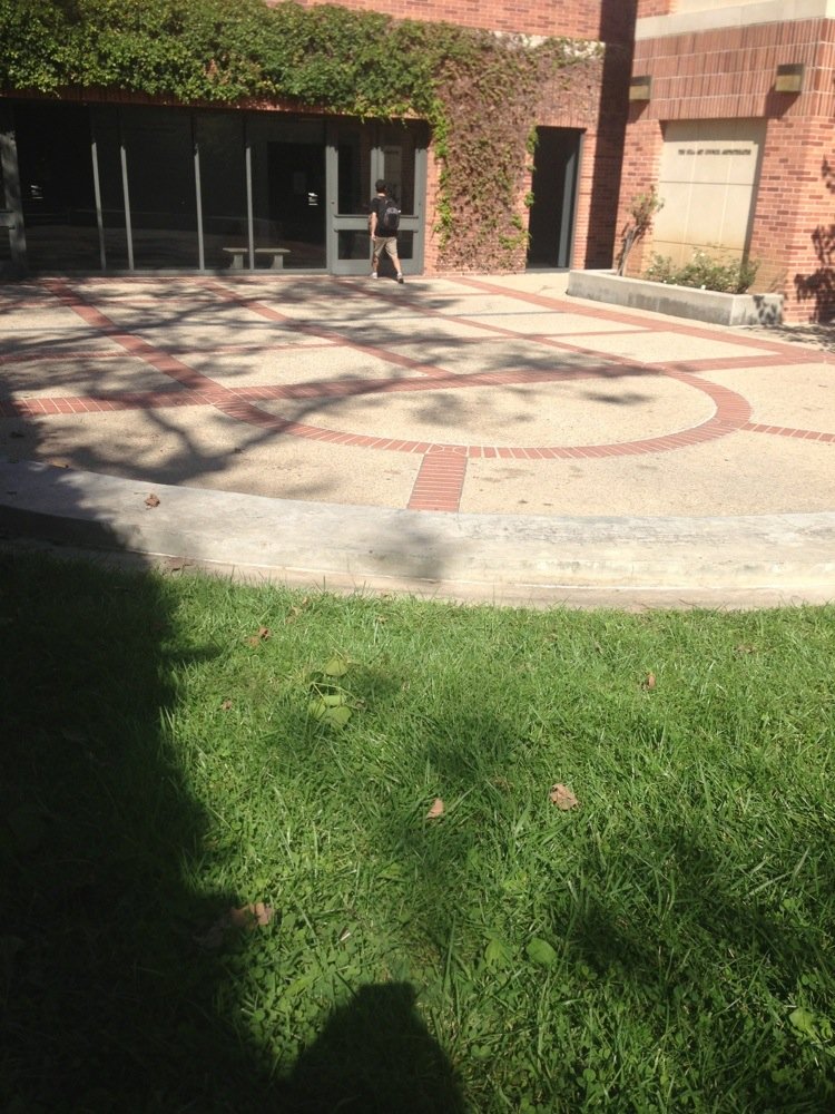 Fowler Museum