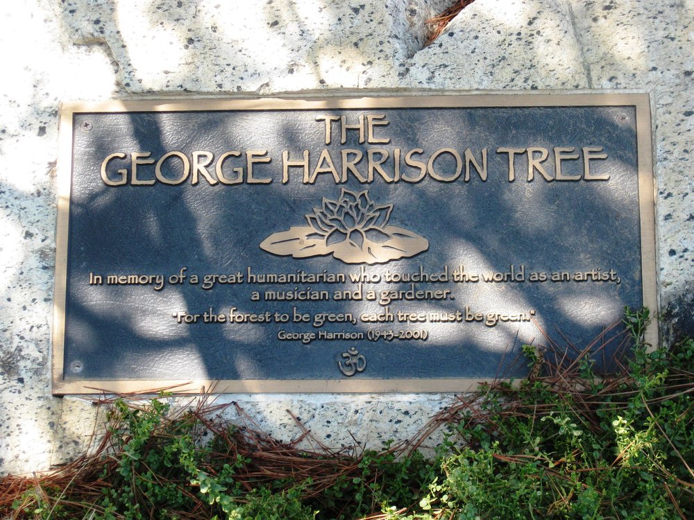 The George Harrison Tree