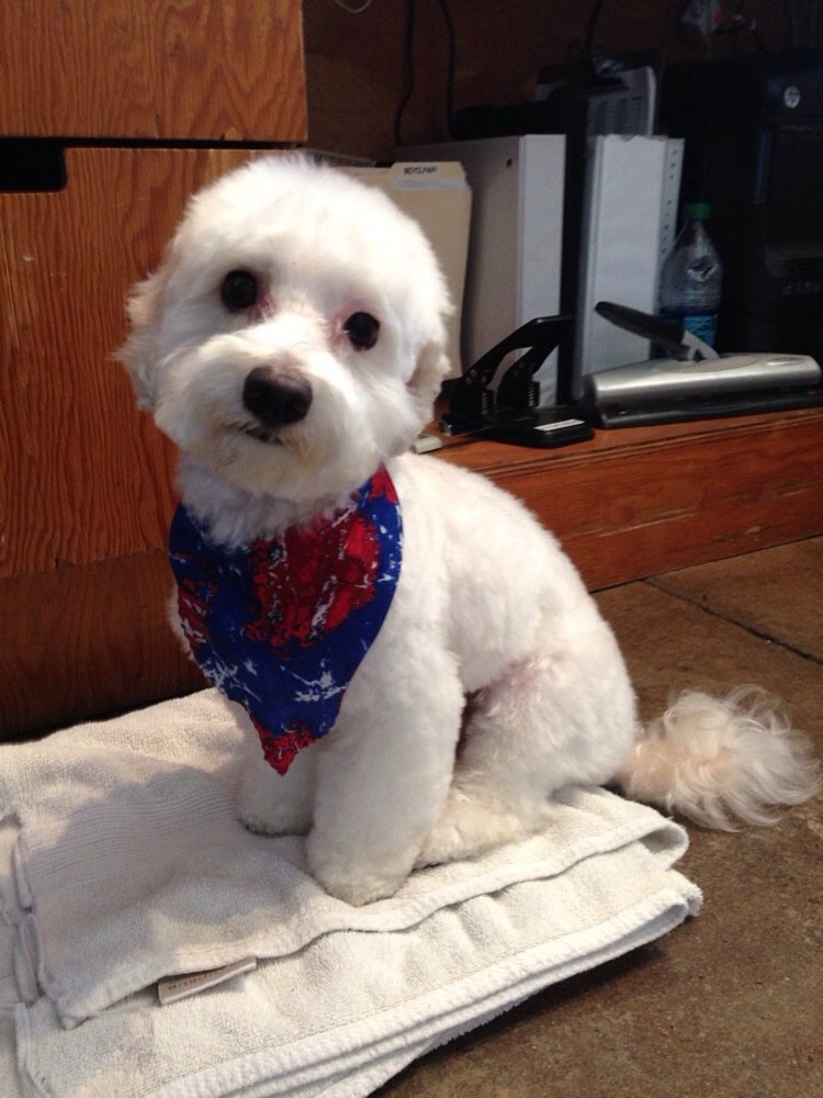 LA Dogworks