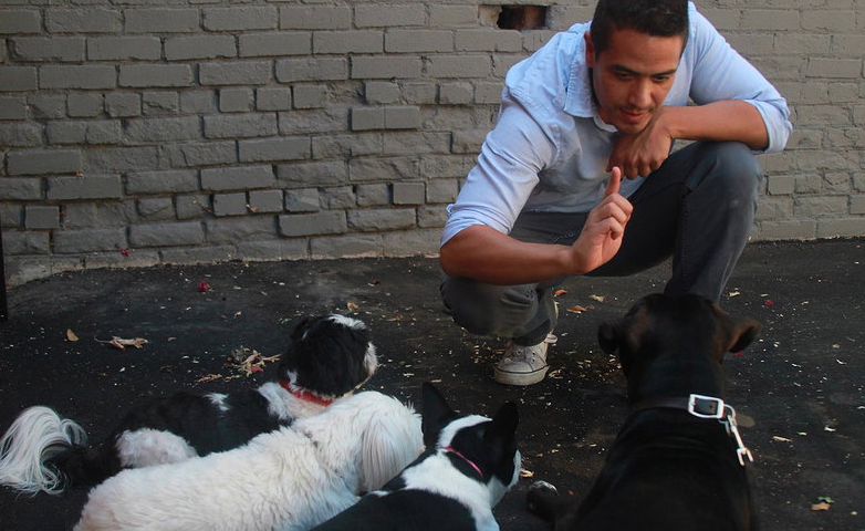 C.O.R.E. Dog Training & Boarding