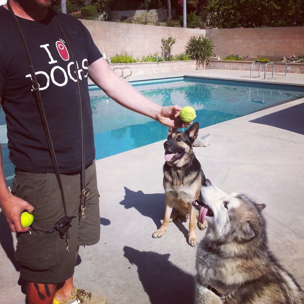 Canine Conservatory, LLC