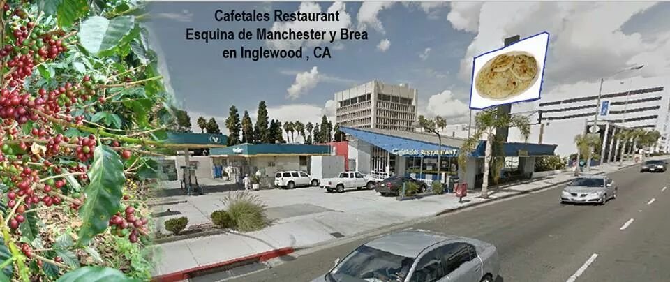 Cafetales