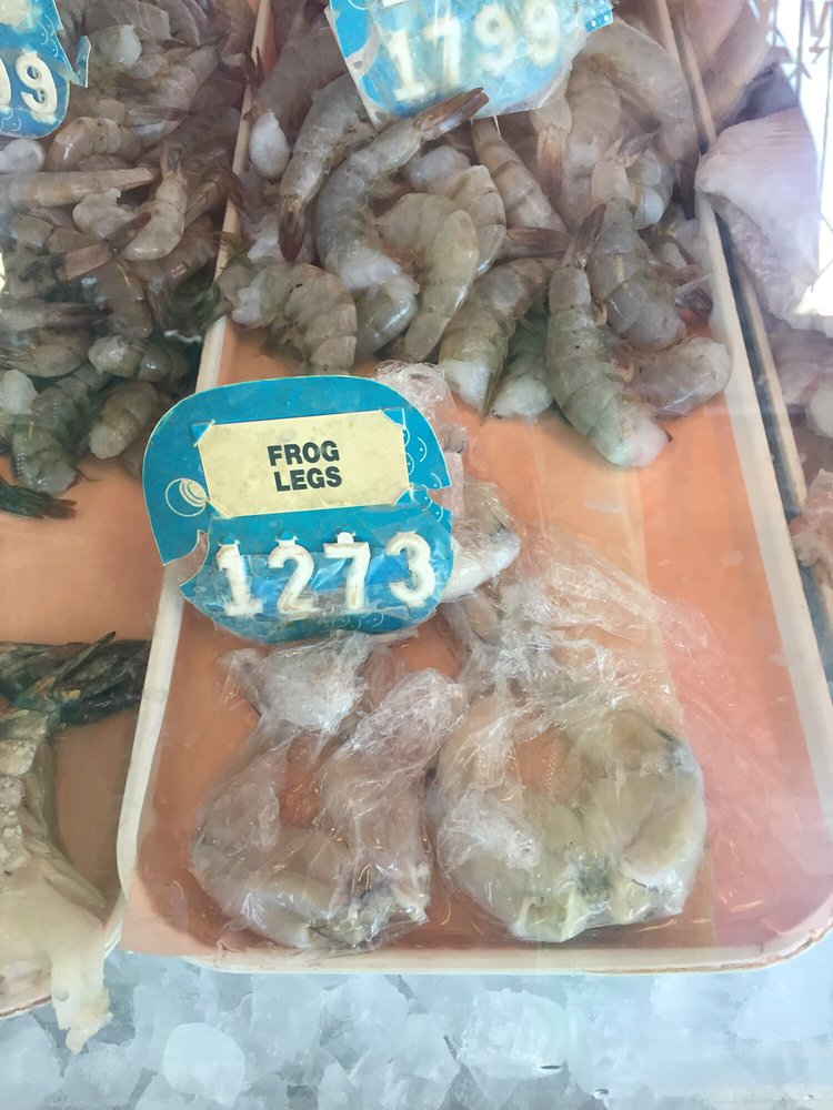 Fish Land