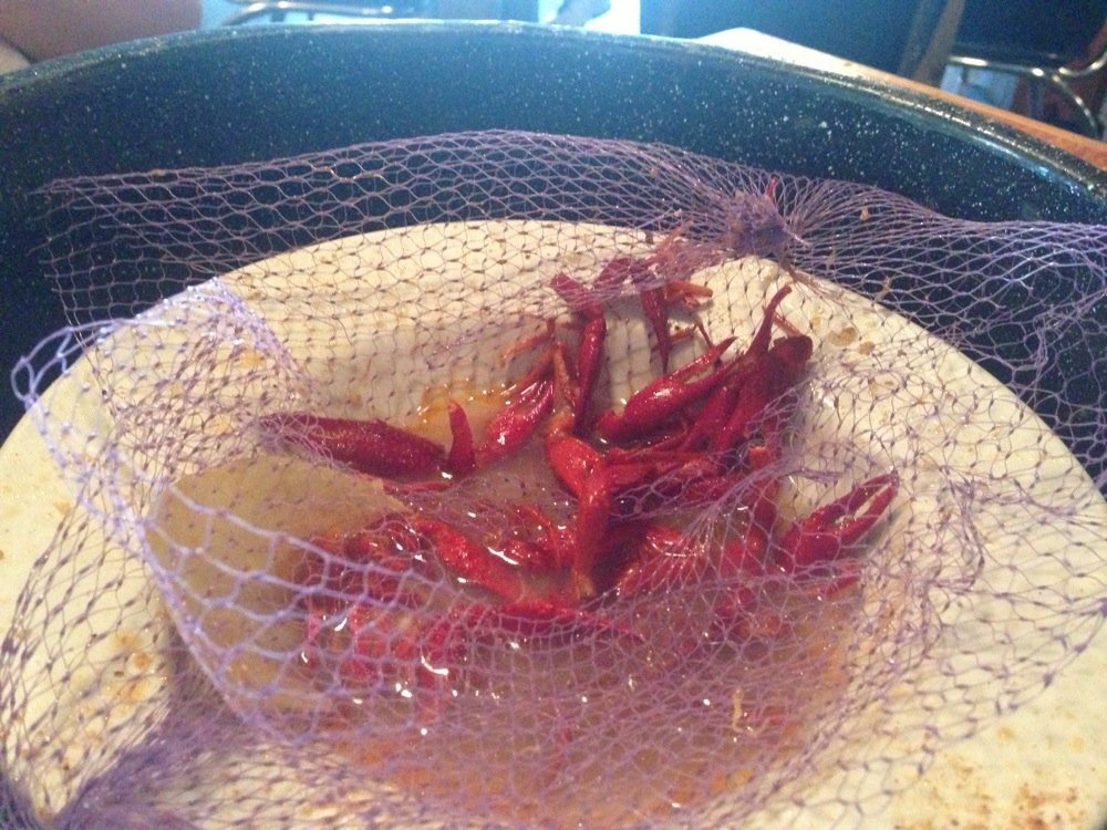 Joes Crab Shack