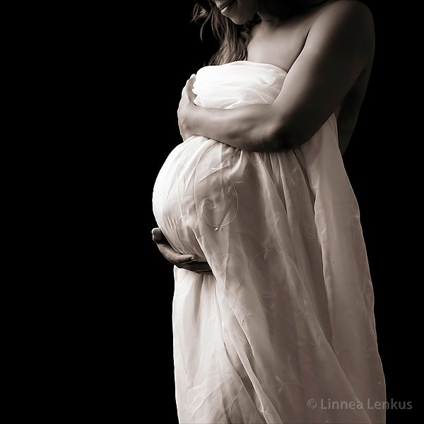 Linnea Lenkus Fine Art Portrait Studios
