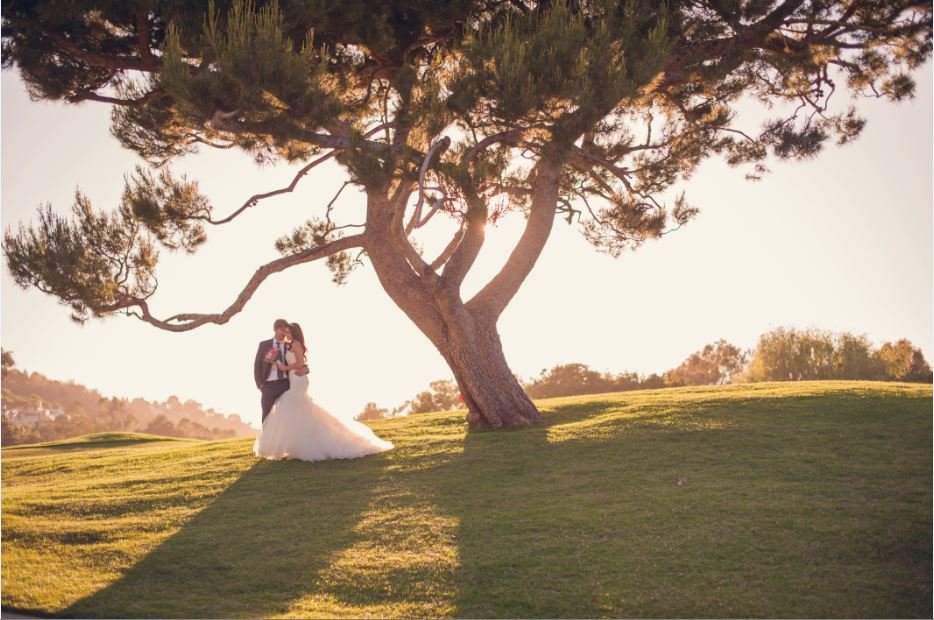 Nicole Alexandra Events & Design