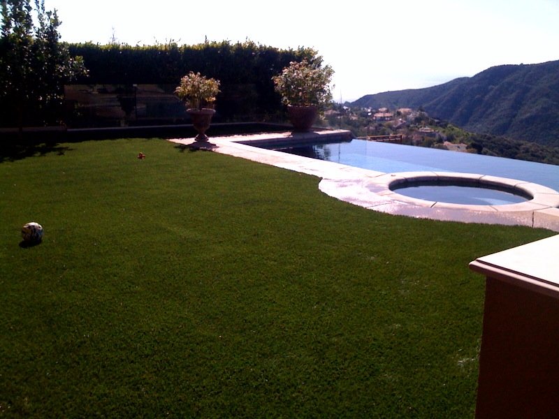 SmartGrass