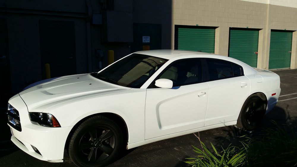 Window Tints