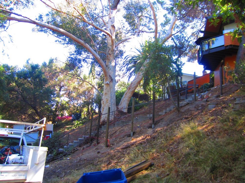 Coronado Tree Service