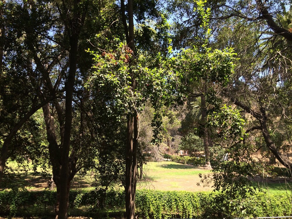 Westside Habitats