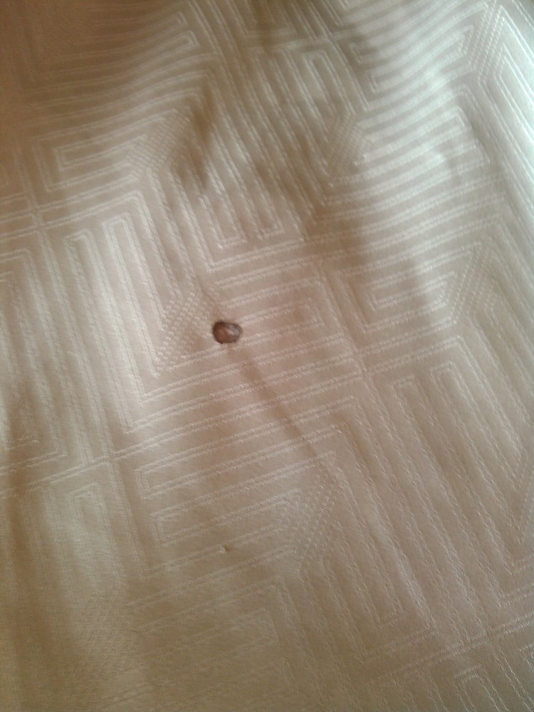 Motel 6