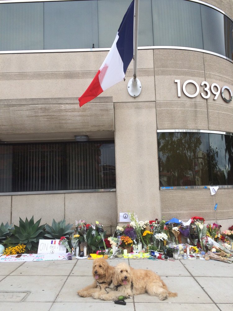 Consulat General de France