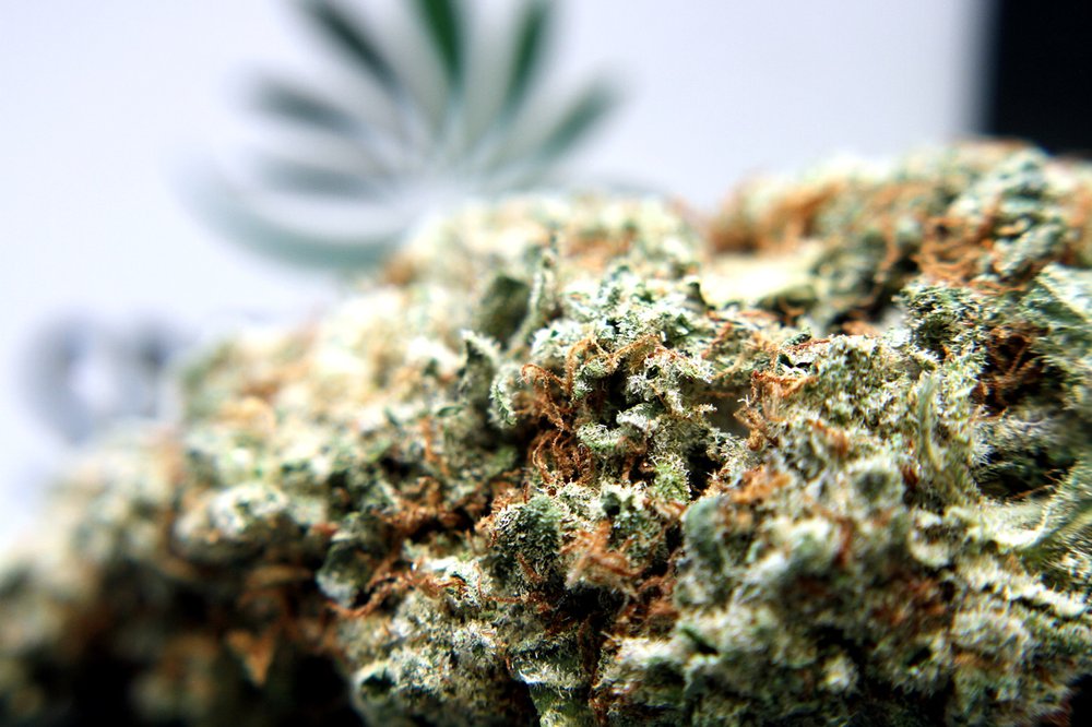 Speed Weed