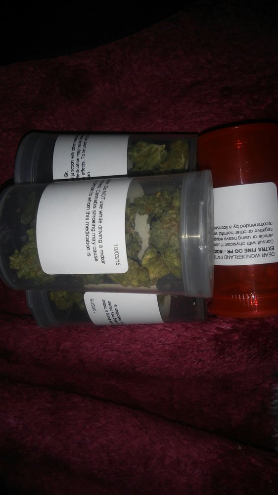 LA Wonderland Caregivers