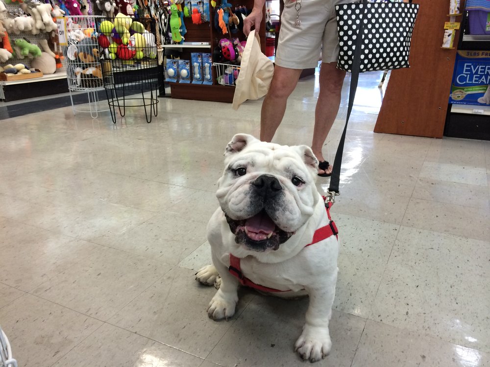 Trixies Pet Depot