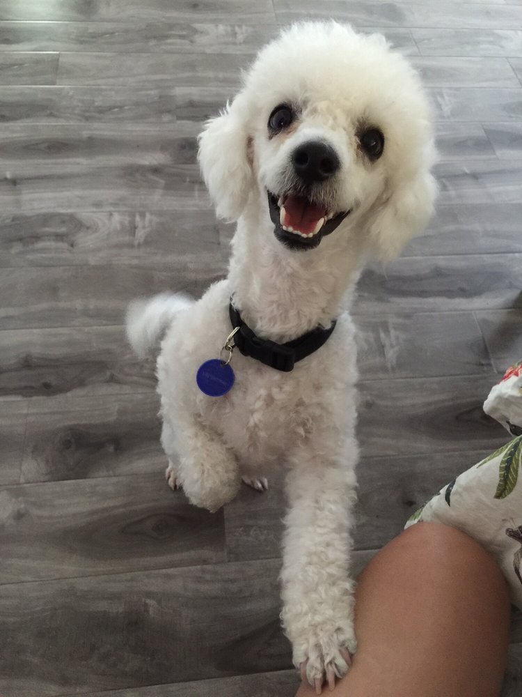 North Central Animal Shelter