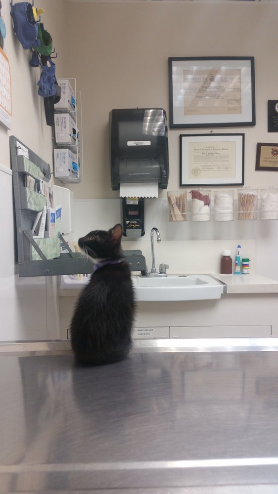 Center-Sinai Animal Hospital
