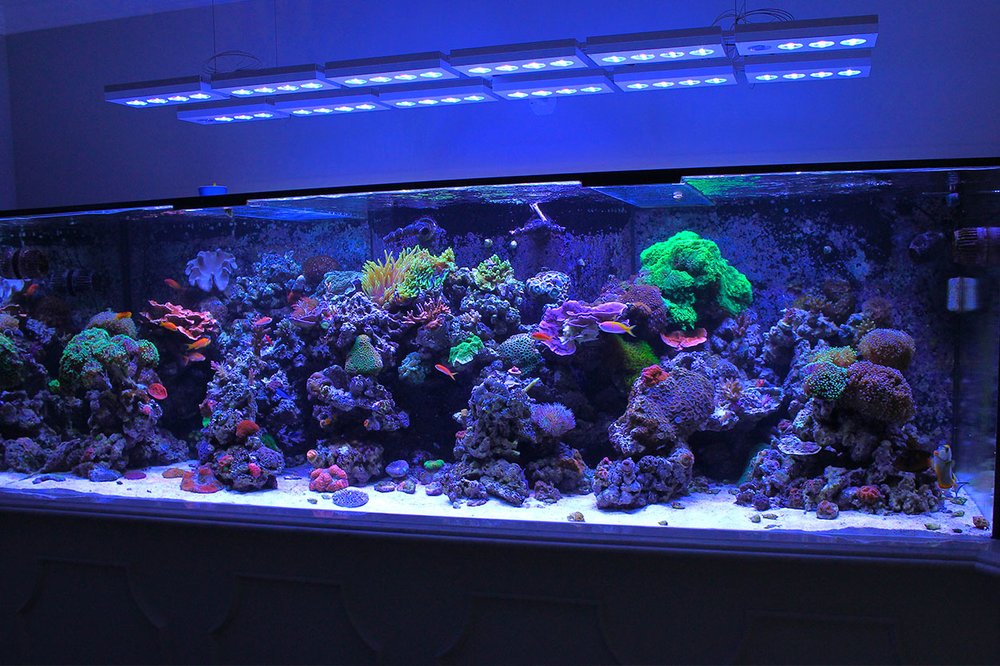 California Aquariums