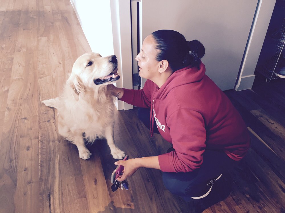 Lets Walk It Off Pet Services