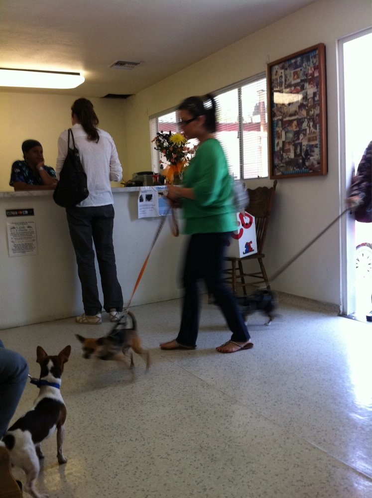 Wayfarer Veterinary Hospital