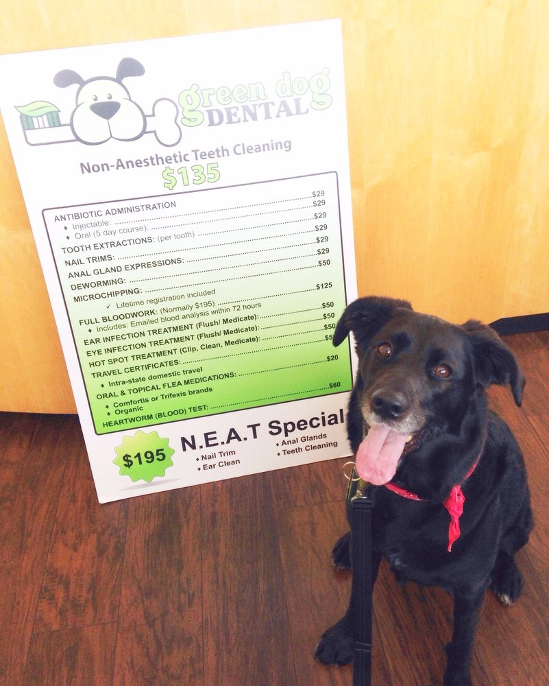Green Dog Dental