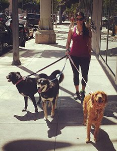 Karma Dog Training