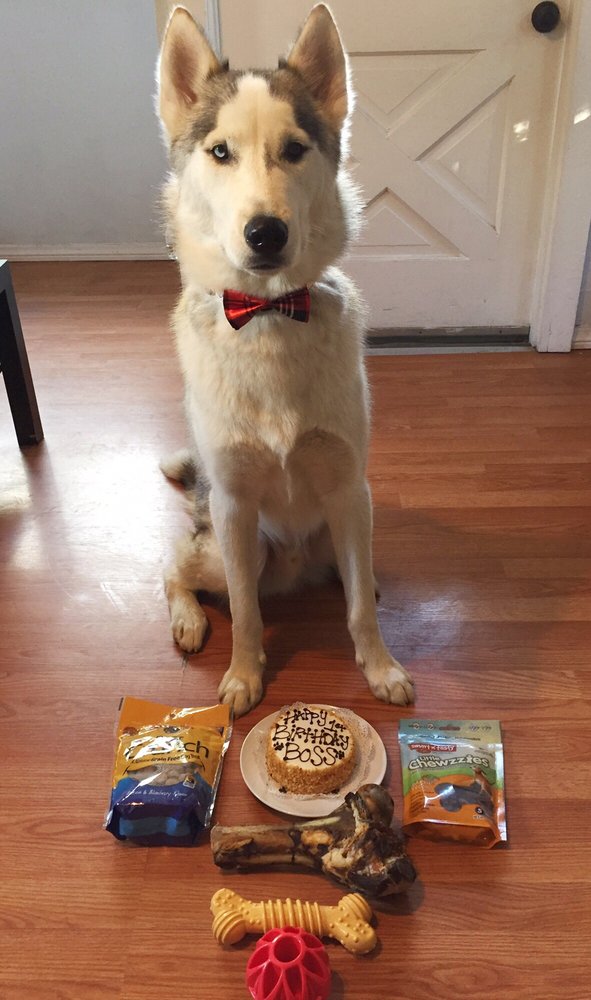 Pet Food Express