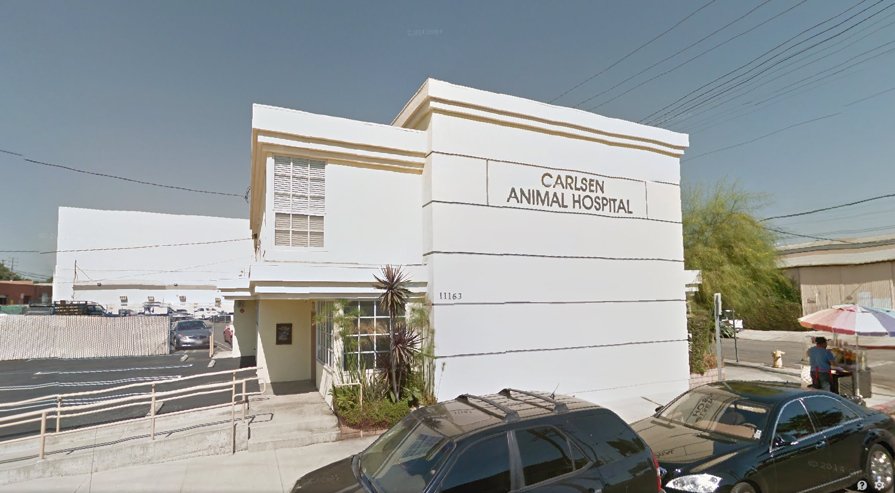 Carlsen Animal Hospital