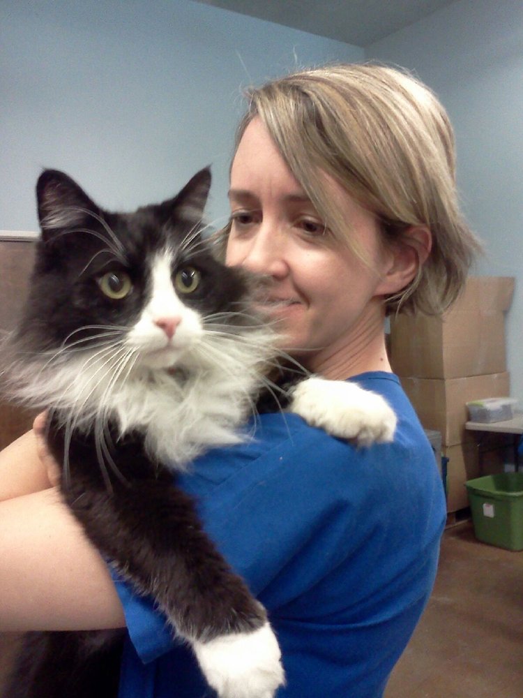 1st Care Animal Health Clinics Inc