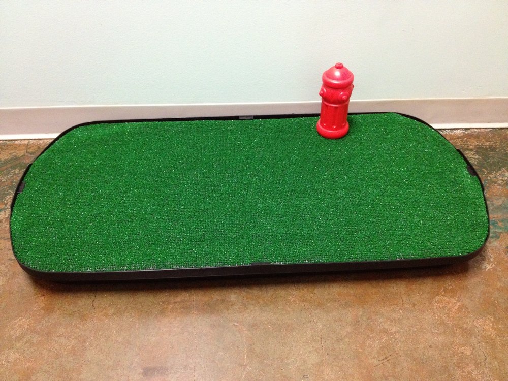 Go-Doggy-Go Indoor Dog Potty, LLC