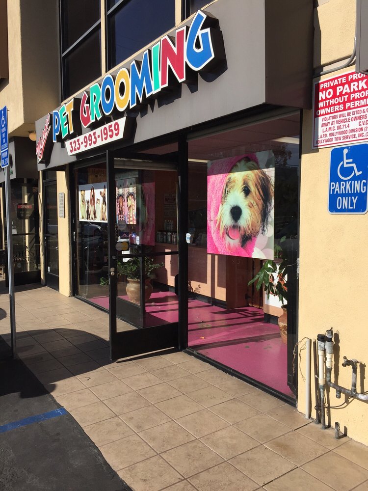 Melrose Pet Grooming