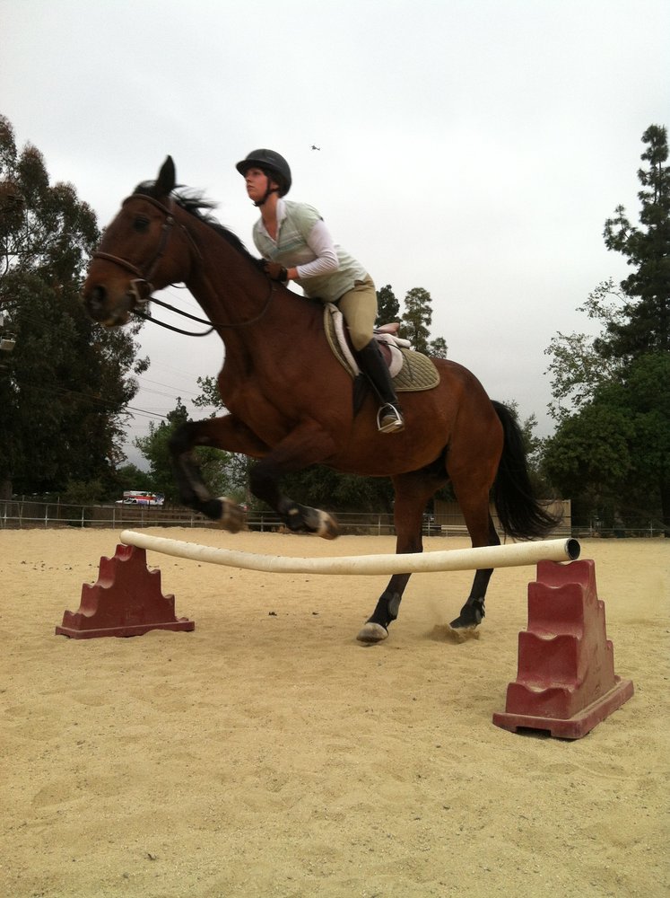 Good Pony
