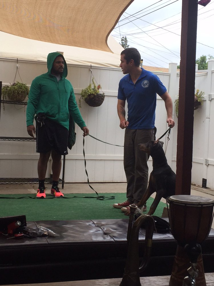 Master Dog Training