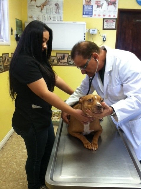Hollypark Pet Clinic