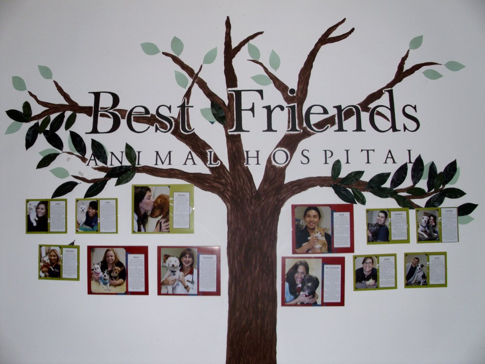 Best Friends Animal Hospital