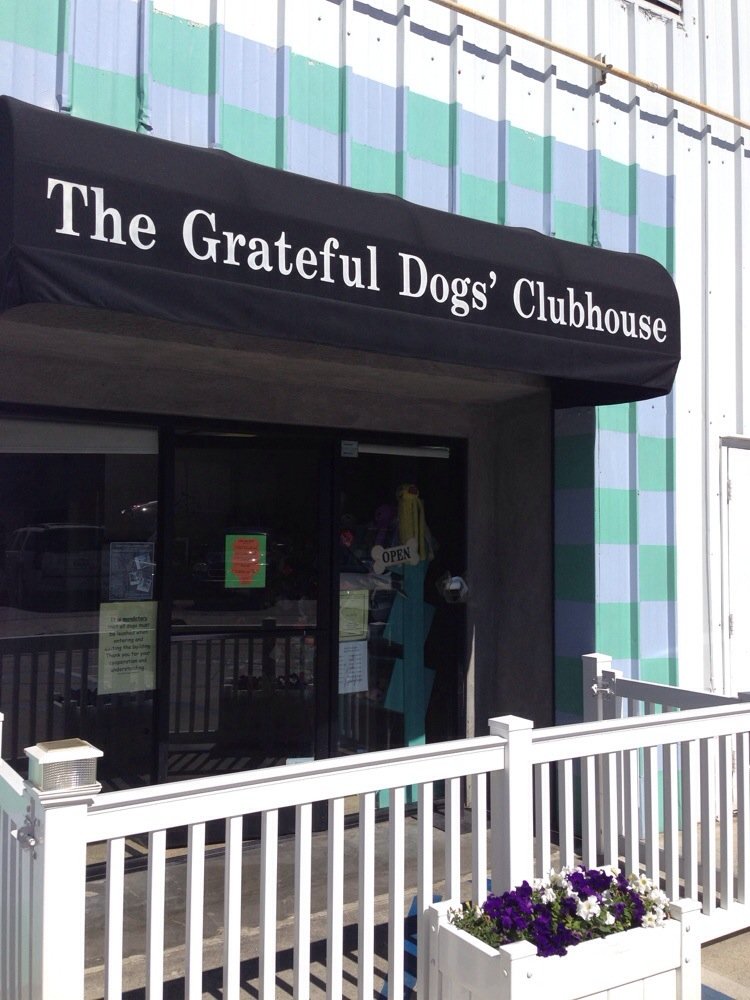 Grateful Dogs Clubhouse