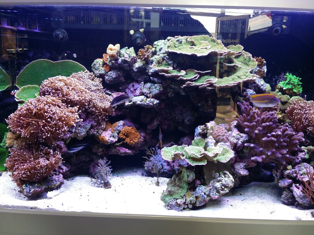 Rainbow Aquarium and Pond
