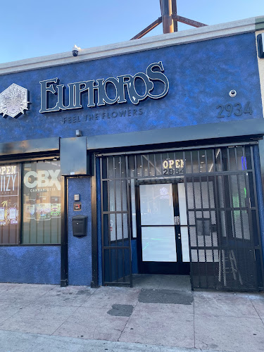 Euphoros